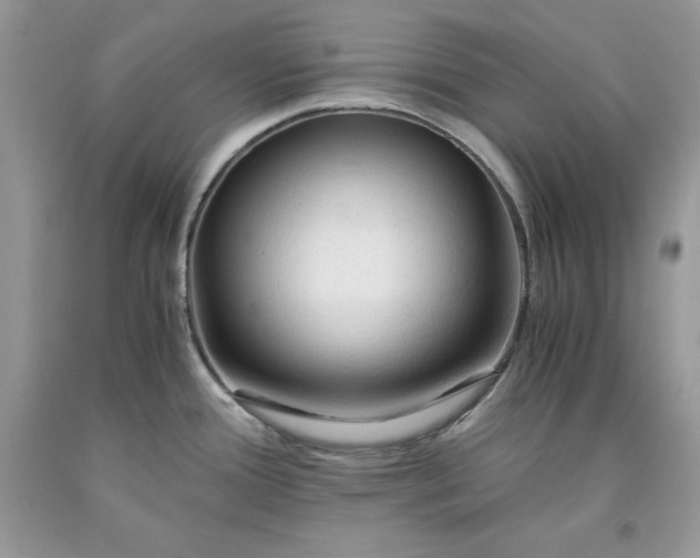 X0000093511388200710261147