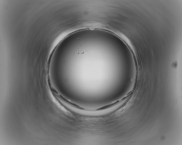 X0000093511389200710261147