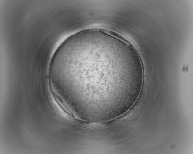 X0000093511392200710261147