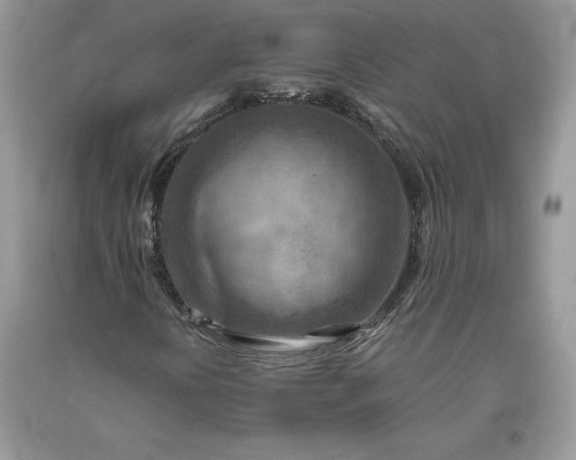 X0000093511394200710261147