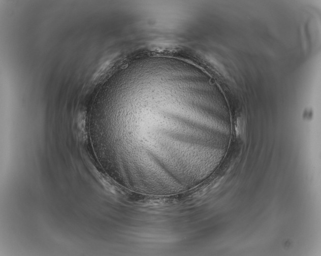 X0000093511396200710261147