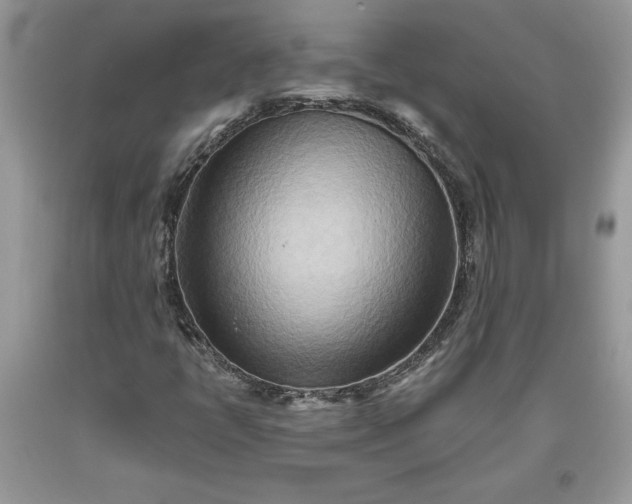 X0000093511398200710261147