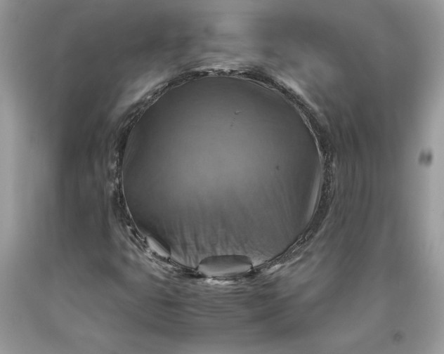 X0000093511399200710261147