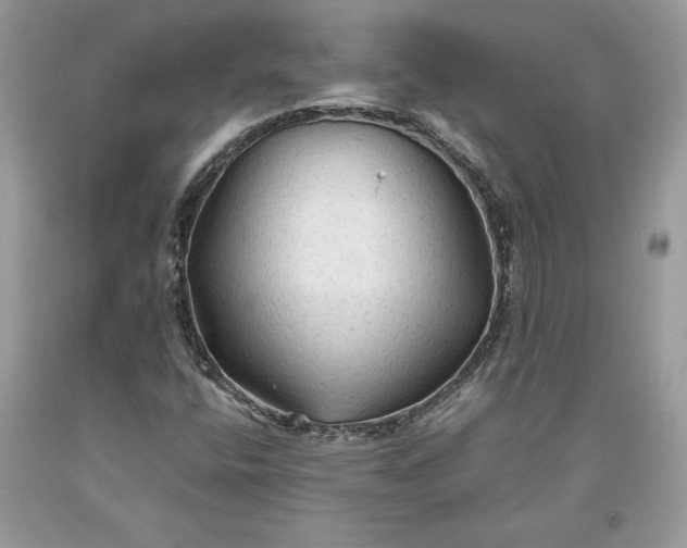 X0000093511400200710261147