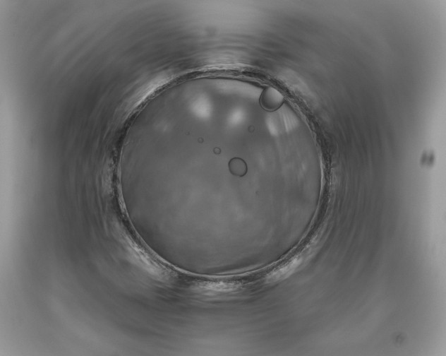 X0000093511401200710261147