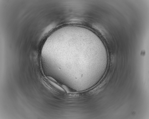 X0000093511403200710261147
