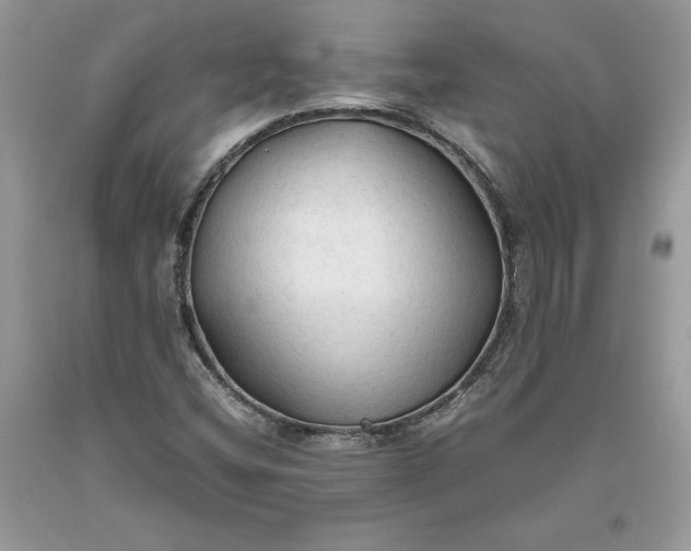 X0000093511404200710261147