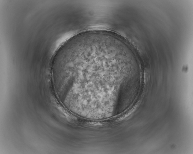 X0000093511405200710261147