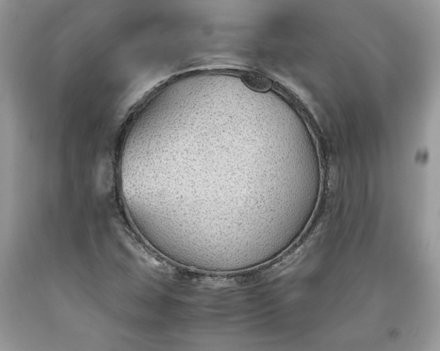 X0000093511407200710261147