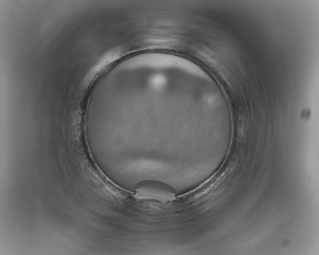 X0000093511411200710261147