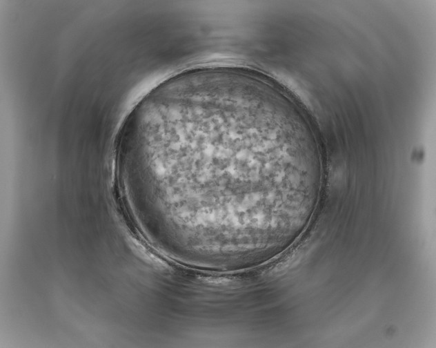 X0000093511413200710261147