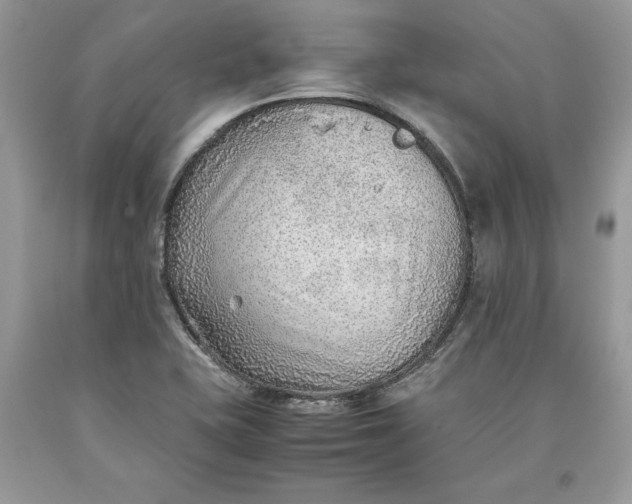 X0000093511415200710261147