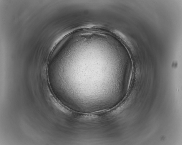 X0000093511417200710261147