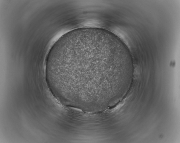 X0000093511419200710261147