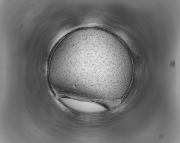 X0000093511420200710261147