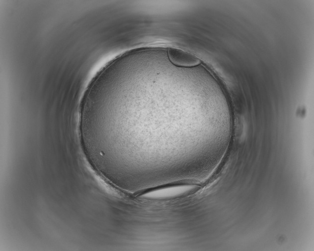 X0000093511424200710261147