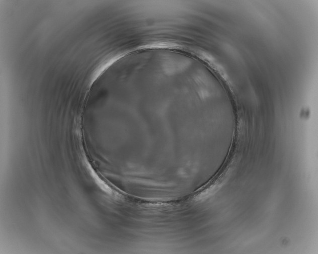X0000093511425200710261147