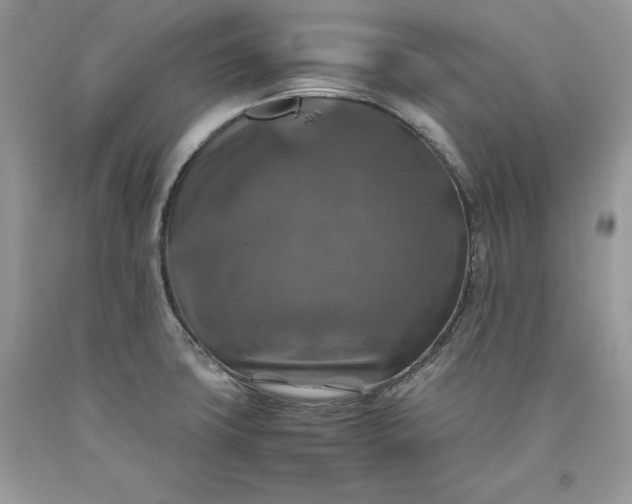 X0000093511427200710261147