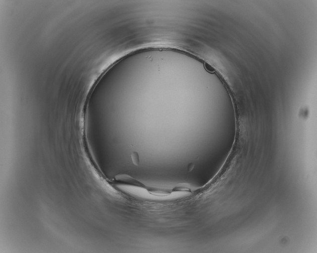 X0000093511428200710261147