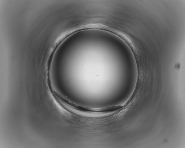 X0000093511430200710261147