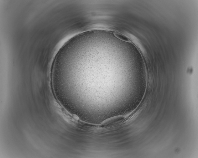 X0000093511435200710261147