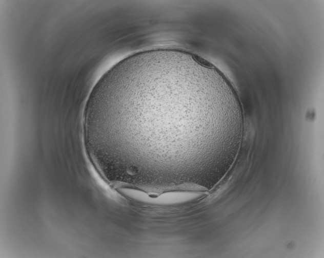 X0000093511439200710261147