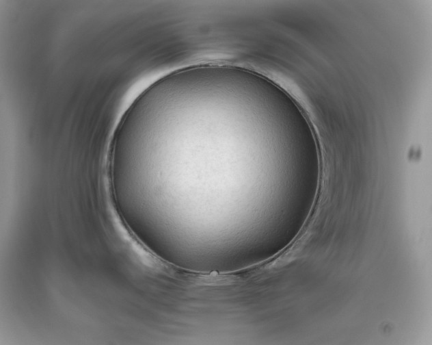 X0000093511440200710261147