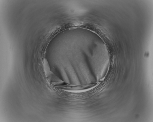 X0000093511441200710261147