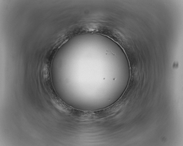 X0000093511442200710261147