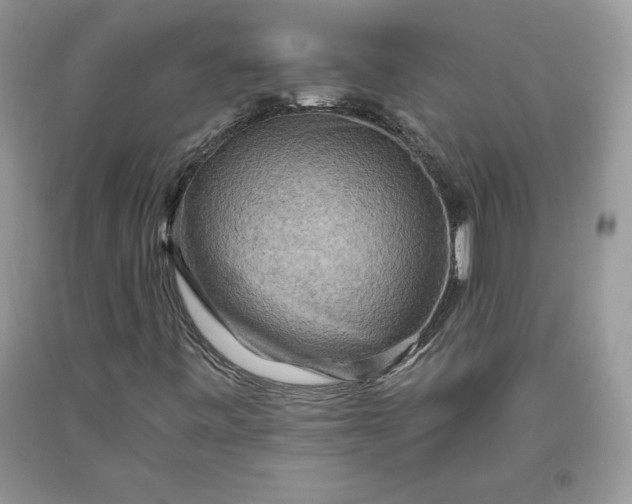 X0000093511443200710261147
