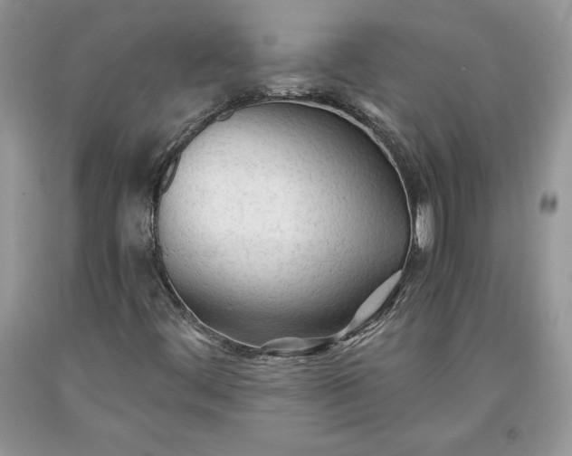 X0000093511444200710261147