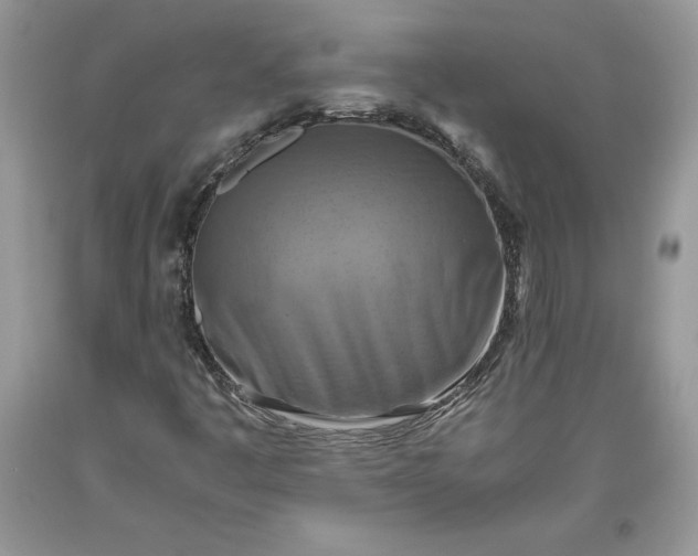 X0000093511445200710261147