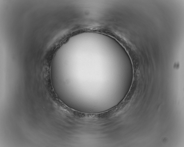 X0000093511447200710261147