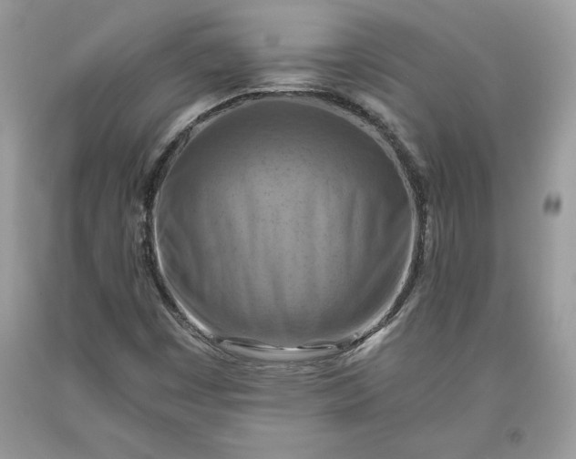 X0000093511449200710261147