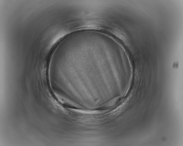 X0000093511450200710261147