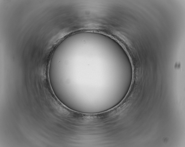 X0000093511451200710261147