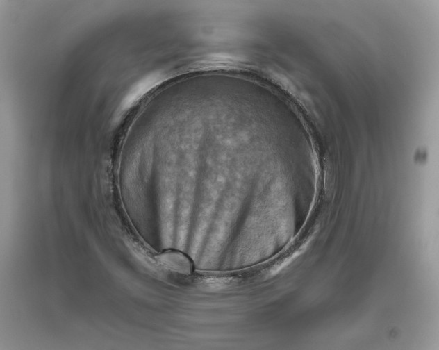 X0000093511453200710261146
