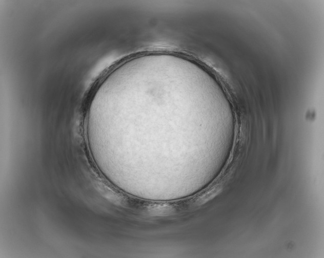 X0000093511454200710261146