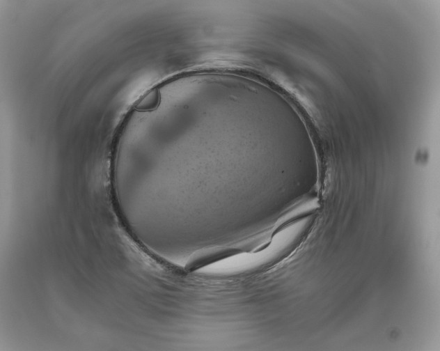X0000093511459200710261146