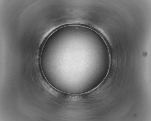 X0000093511460200710261146