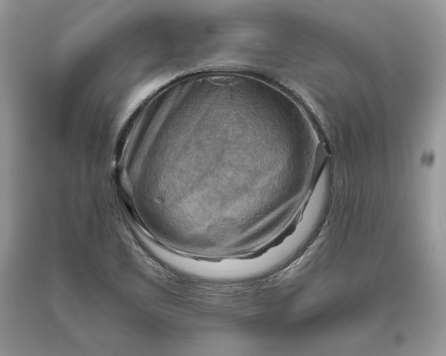 X0000093511461200710261146