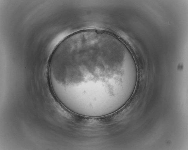 X0000093511463200710261146