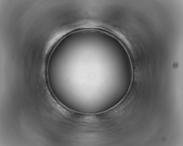 X0000093511464200710261146