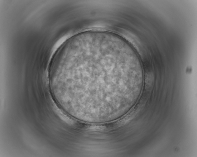 X0000093511466200710261146