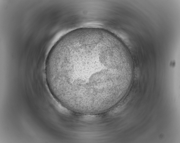 X0000093511470200710261146