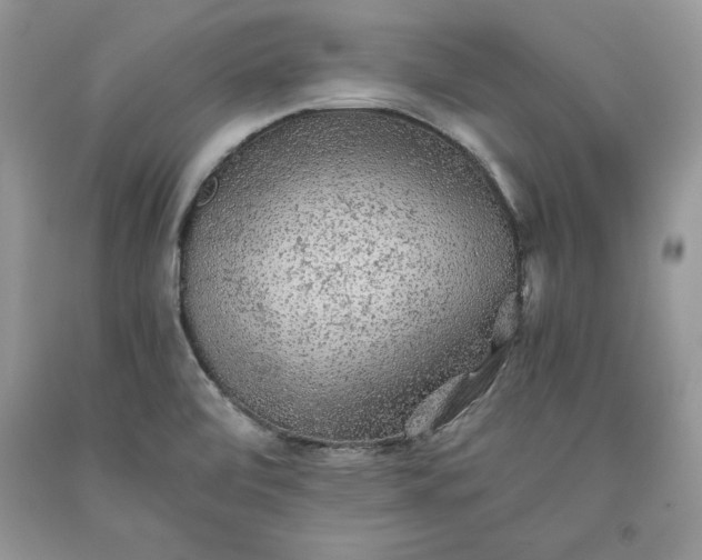 X0000093511472200710261146