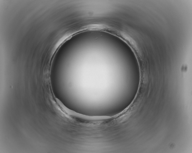 X0000093511473200710261146
