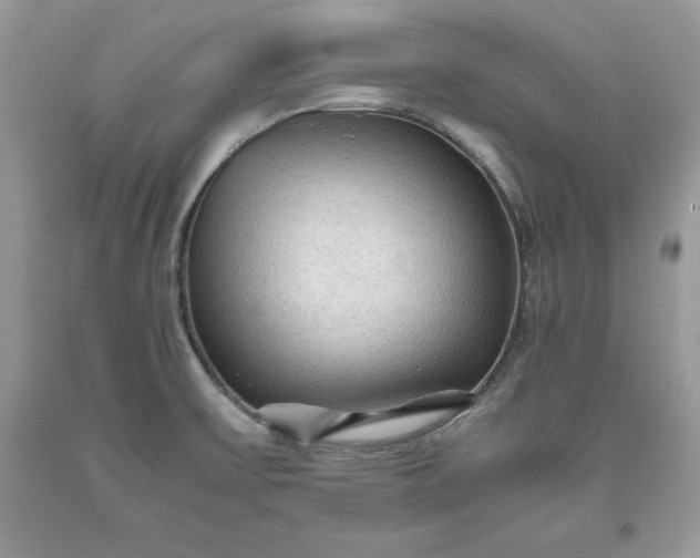 X0000093511475200710261146