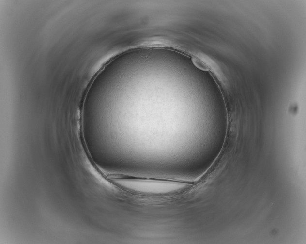 X0000093511476200710261146