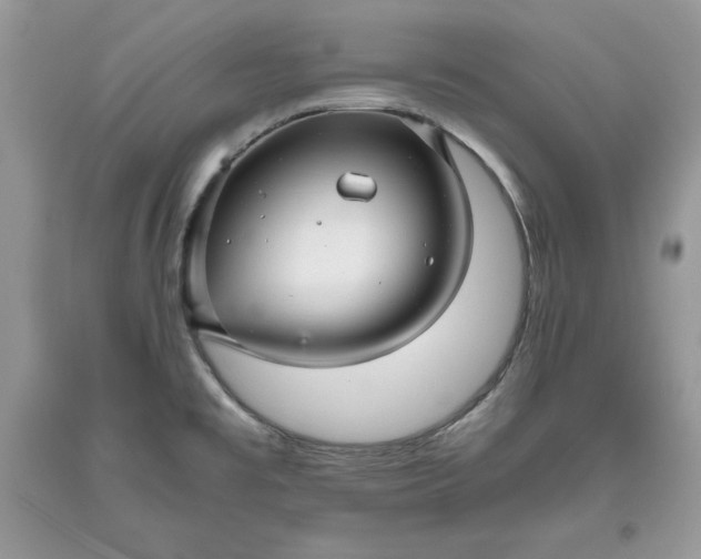 X0000093511477200710261146
